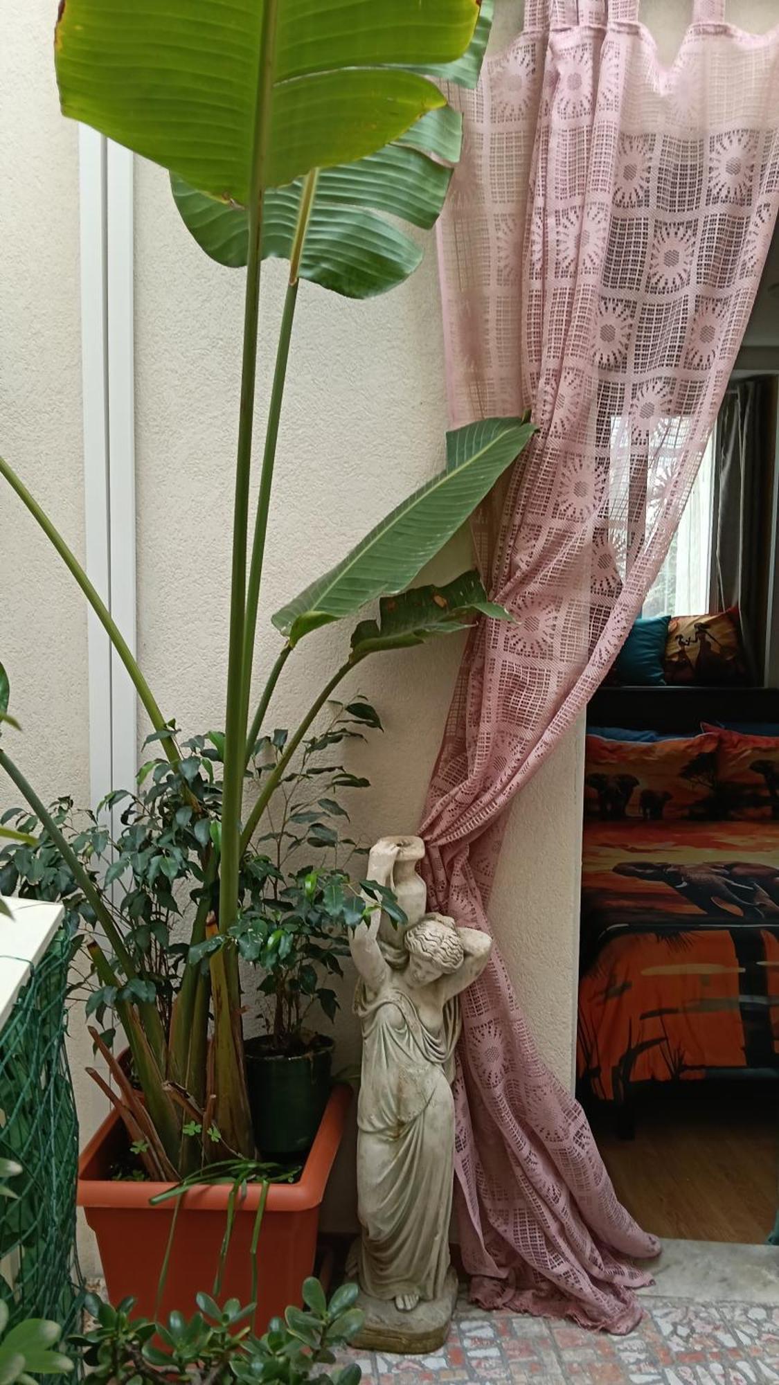 Very Smail House เอากุสตา ภายนอก รูปภาพ